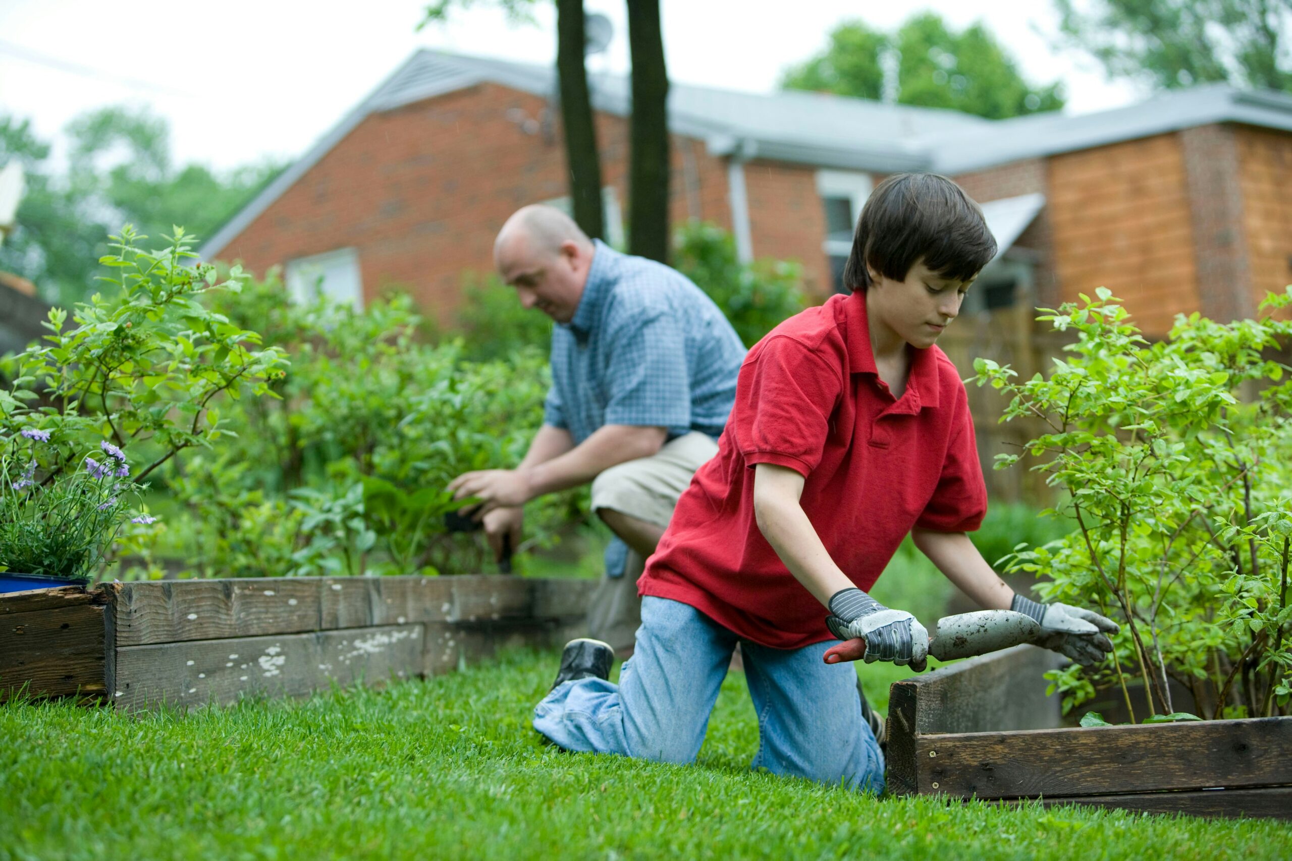 Planting Seeds for Meaningful Education